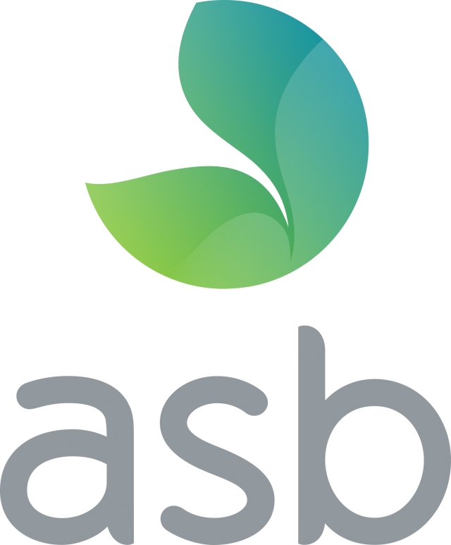 Logo ASB BV